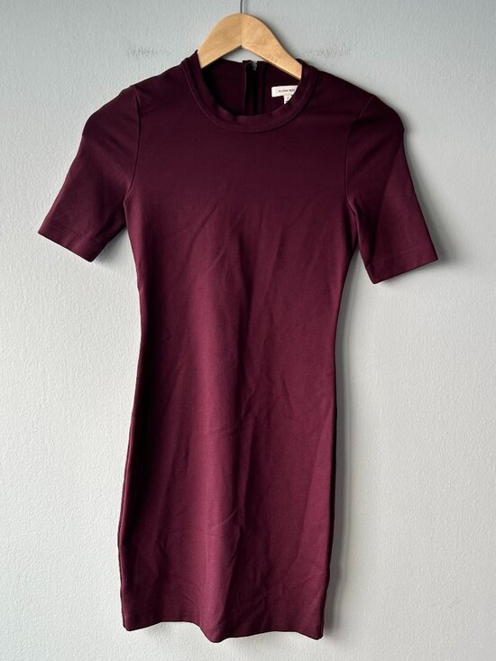Sunday Best Dresses & Skirts - Sunday Best Aritzia Burgundy Mock Neck Bodycon Mini Dress Size 2